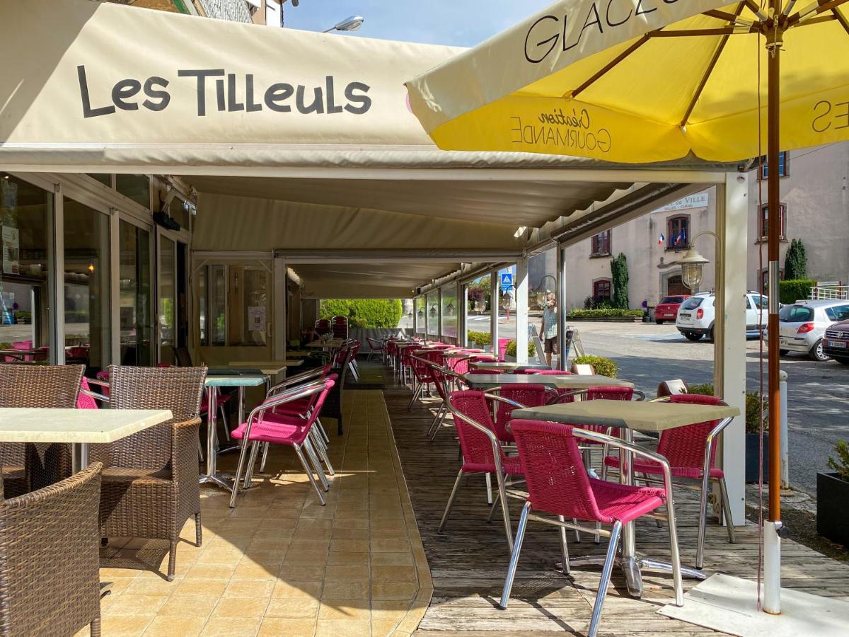 Hotel Les Tilleuls De Pareloup A Salles-Curan Exteriér fotografie