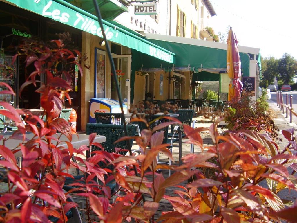 Hotel Les Tilleuls De Pareloup A Salles-Curan Exteriér fotografie